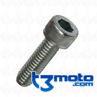 Tornillo Allen 6 x 20